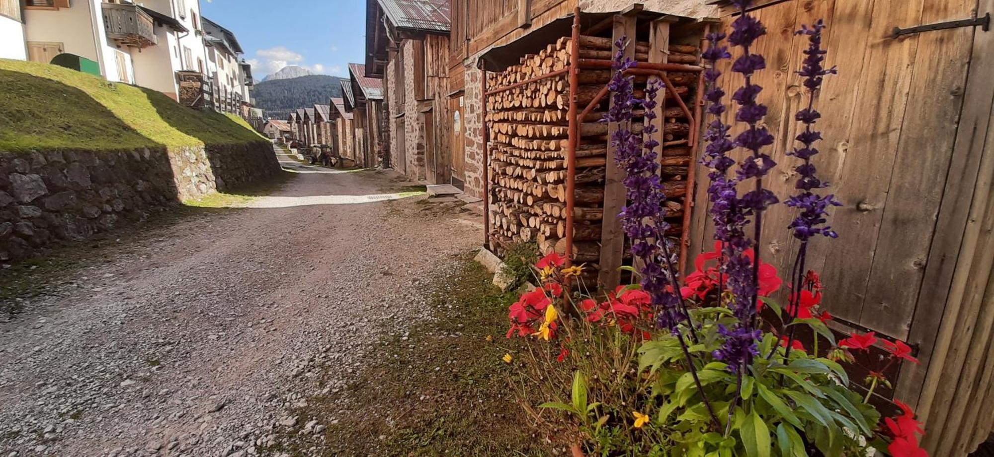 Appartamento G.& G. Dosoledo Dış mekan fotoğraf
